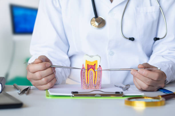 Best Emergency Care for Gum Disease in Oak Forest, IL
